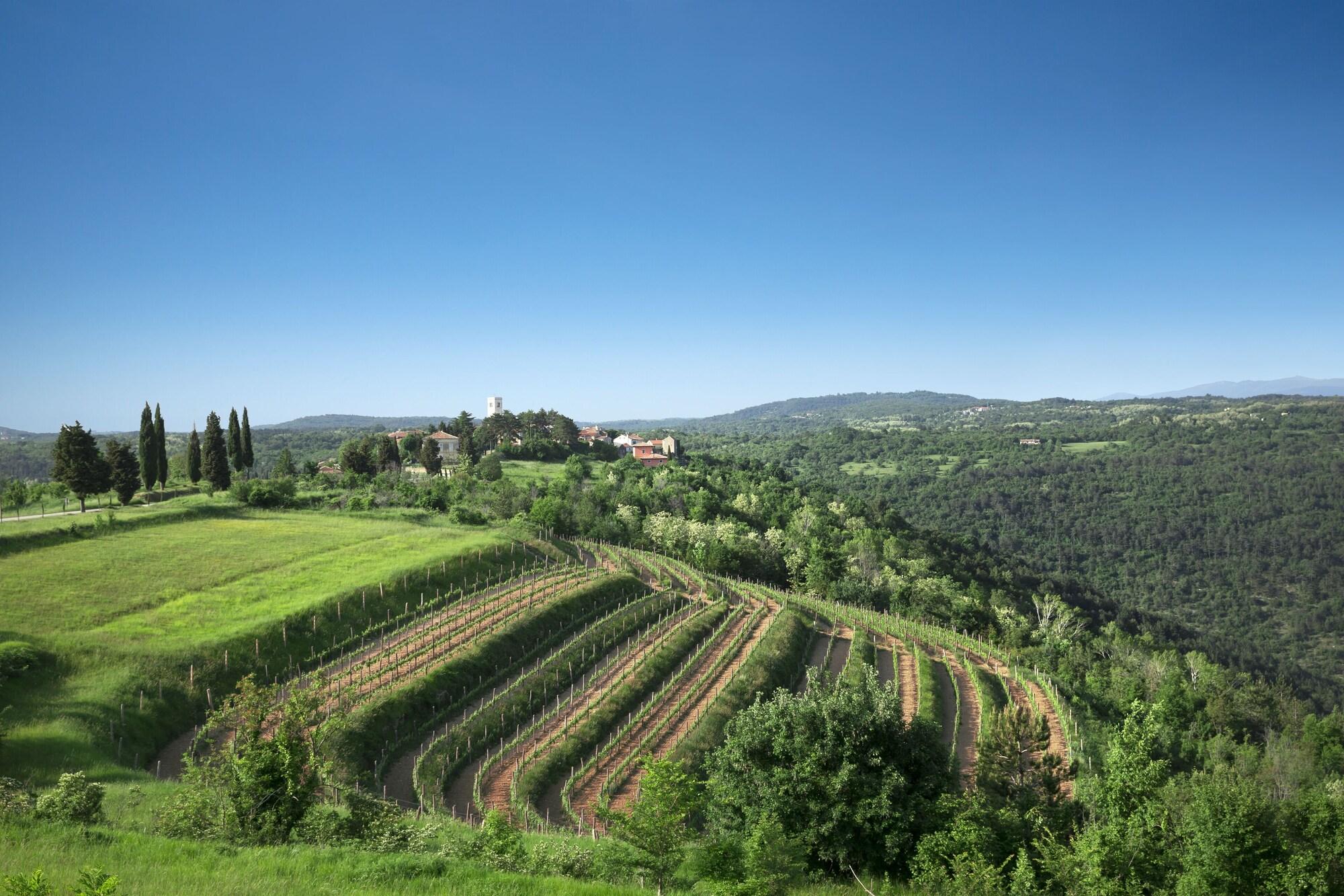 Palazzo Angelica B&B Adults Only Oprtalj Buitenkant foto