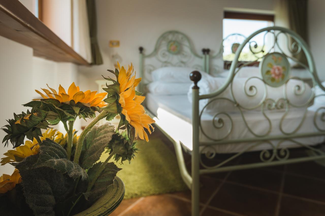 Palazzo Angelica B&B Adults Only Oprtalj Buitenkant foto